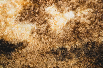 Wool texture close up. brown coverlet. soft material