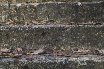 Stone steps ladder. stairs from natural stones