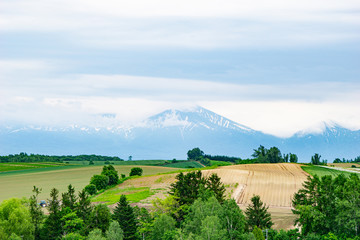 Beautiful scene of the top view of the  agriculture farm in town Biei Hokkaido ,Japan.With the high mountain and forest in the background.