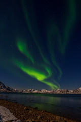 aurora borealis, polar lights, over mountains in the North of Europe - Lofoten islands, Norway