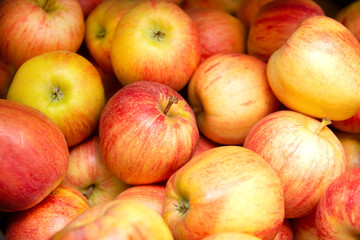 lots of fresh yellow apples with red sides,