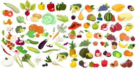 Big set of vegetables and fruits isolated on a white background. Vector graphics.