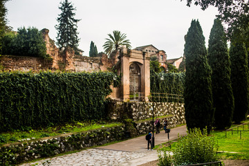 Obraz premium Italy / Rome 14. December 2019 The ruins of the Roman Forum