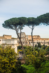 Fototapeta na wymiar Italy / Rome 14. December 2019 coliseum photo