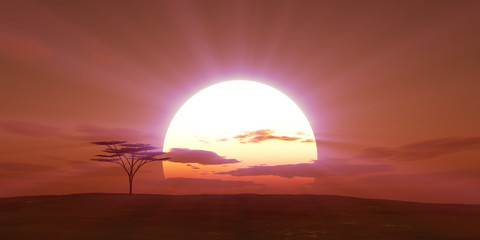 Fototapeta na wymiar big sun sunset tree landscape, 3d illustrations