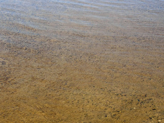 Bottom of sea. Tuapse, Black Sea, Caucasus