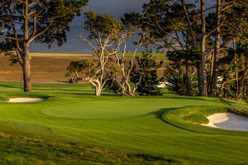 Fototapeta na wymiar coastline golf course in California