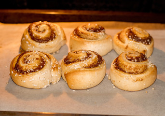 Cinnamon buns rolls on a tray lined with baking parchment paper in the oven