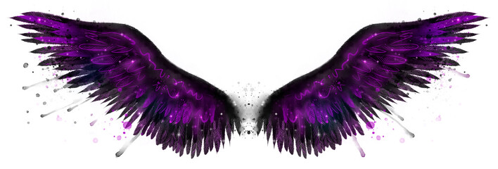 Beautiful magic black purple watercolor wings