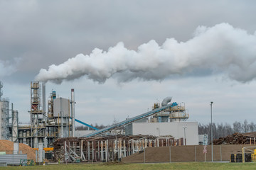 Fototapeta na wymiar Woodworking plant, thick smoke from the pipes against the gray-blue sky. Environmental pollution.