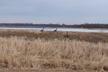 Non-Edited Butler County Iowa