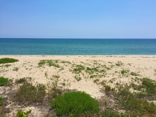 calm day on the shore of the beach