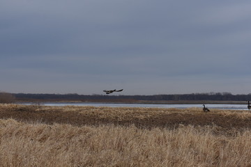 Non-Edited Butler County Iowa
