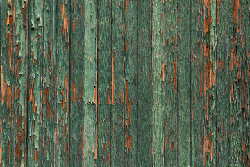 Green paint peeling of rustic wooden surface