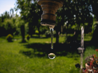 Water drops dripping from a faucet in a sunny garden. Green vegetation background. Pure, clean, drinkable tap water source.