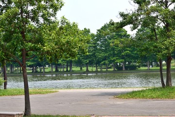   【東京都葛飾区】水元公園 小合溜  