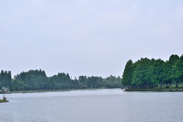   葛飾区水元公園 小合溜  