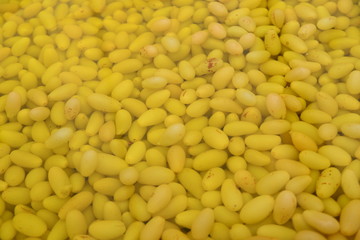 Thailand traditional pickled grapes fruit preserved in syrup