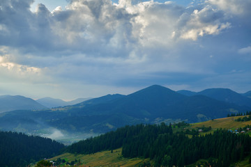 Sunset in carpathian mountains - beautiful summer landscape, spruces on hills, dark cloudy sky and bright sun light, meadow and wildflowers