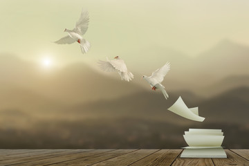 White pigeons fly out of books that are flicked by the wind in beautiful light on sunset background.freedom concept and international day of peace                                            