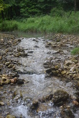 Non-Edited Mossy Glen