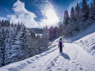 Wandern in der Schneelandschaft