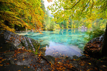 Scenery autumn view of Blue Lake (Blausee ) in rainy day with golden leaves on trees. Natural park in Kandersteg, Switzerland
