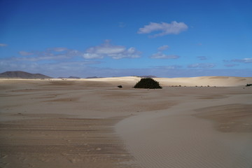 Fototapeta na wymiar Corralejo, Fuerteventura