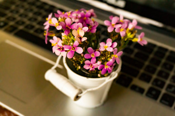 bouquet of flowers in a vase on wooden table