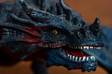 head of dragon