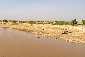 Fototapeta na wymiar Larkana Khairpur Road Indus River 109