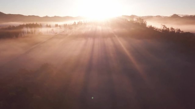 aerial drone shot of  Scenic sunrise sun rising over Autumn forest
