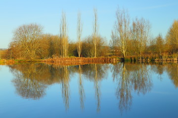 Obraz premium Lake in East Devon AONB (Area of Outstanding Natural Beauty) in late autumn