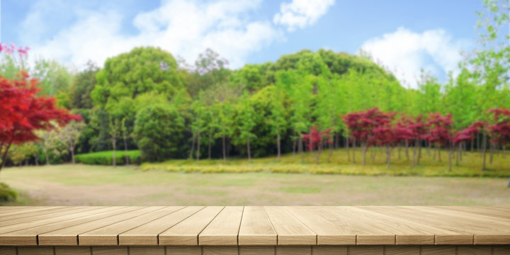 Colorful wooden platform landscape: garden / park.

(3D rendering computer digitally generated illustration.)