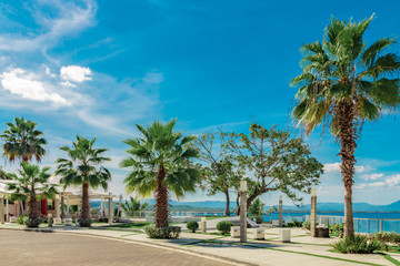 Fototapeta na wymiar Fenix palm trees, ocean and mountain view, waterfront square, Alicia beach, Sosua, Puerto Plata, Dominican Republic