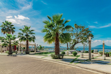 Obraz na płótnie Canvas Fenix palm trees, ocean and mountain view, waterfront square, Alicia beach, Sosua, Puerto Plata, Dominican Republic