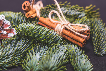 Close-up art installation for New Year or Christmas from spruce twigs, pine cones and cinnamon sticks.