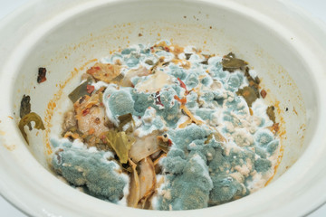Close up moldy food in the bowl