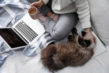 Woman with her cute Balinese cat on bed at home, above view. Fluffy pet