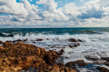 the stone Beach ocean wave sky with clouds