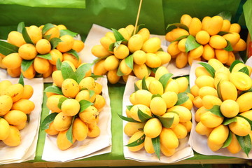 Bunch of Thai tropical fruit (Marian plum)