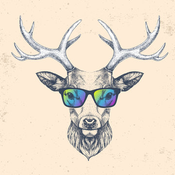 Hipster animal deer with glasses. Hand drawing Muzzle of deer