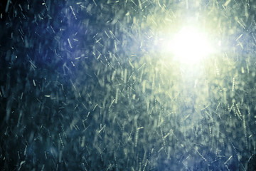 Winter snow blizzard at night in the light of a lantern