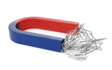 Magnet attracting paper clips on white background
