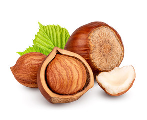 Hazelnuts isolated on white background