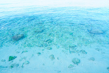透き通る海