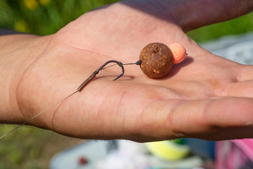 Carp fishing chod rigs. Pop up rigs with floating boilie and sour pear boilie. Pop-up rig for carp fishing - obrazy, fototapety, plakaty