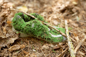 old shoe in forrest on ground ecology boots eco