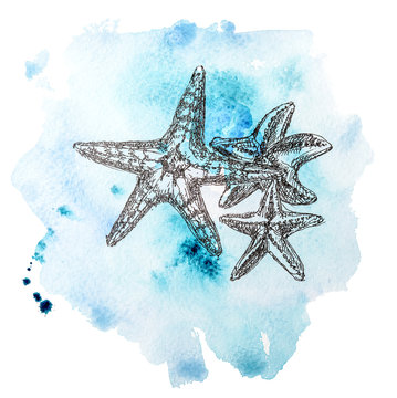 Watercolor abstract blue stain and ink hand painted graphic sea creature. Cute cartoon starfish on white background. Perfect for pattern, sticker, print 