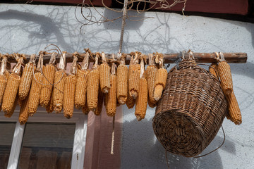 Maiskolben zum Trocknen am Haus
